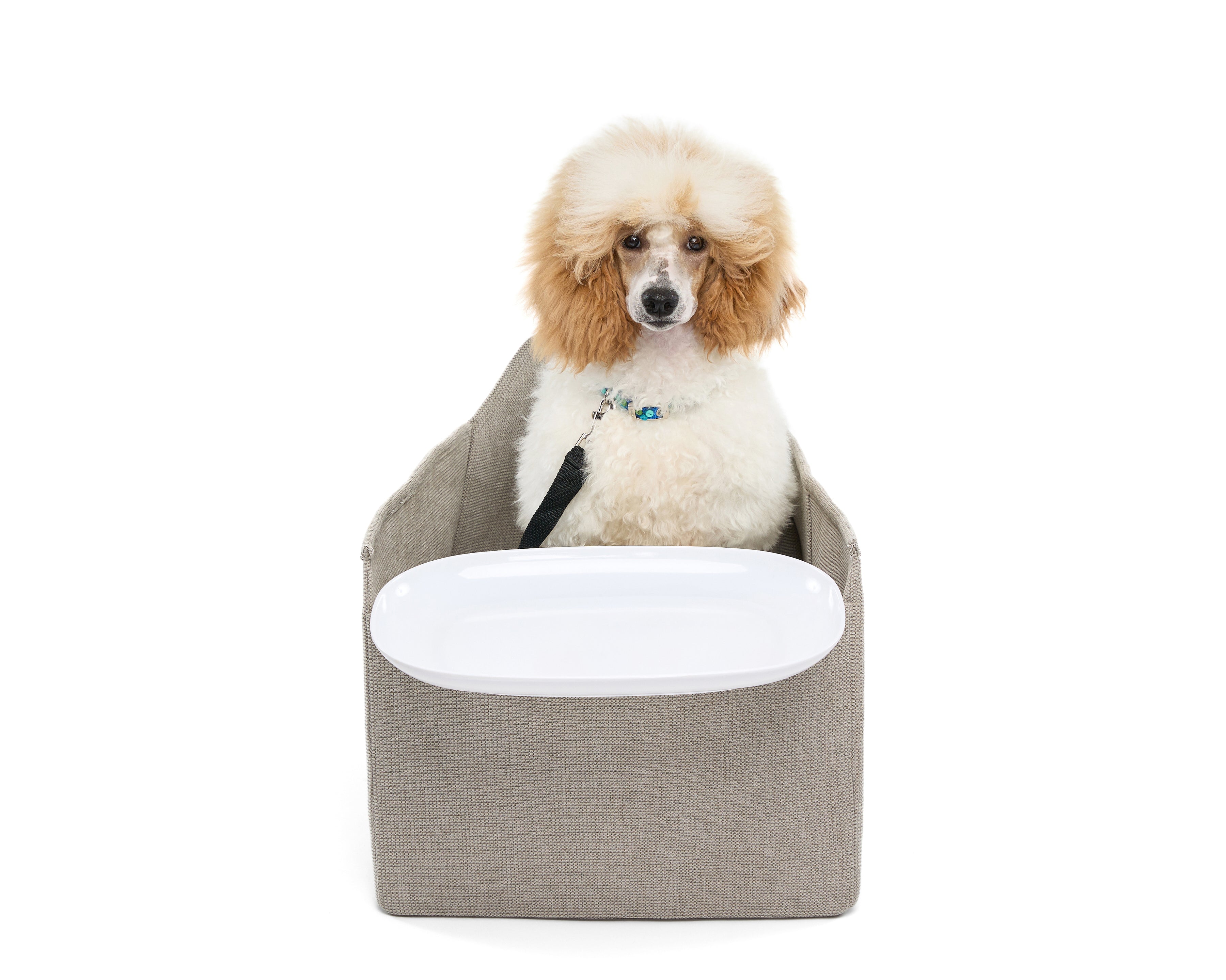 Pet High Chair