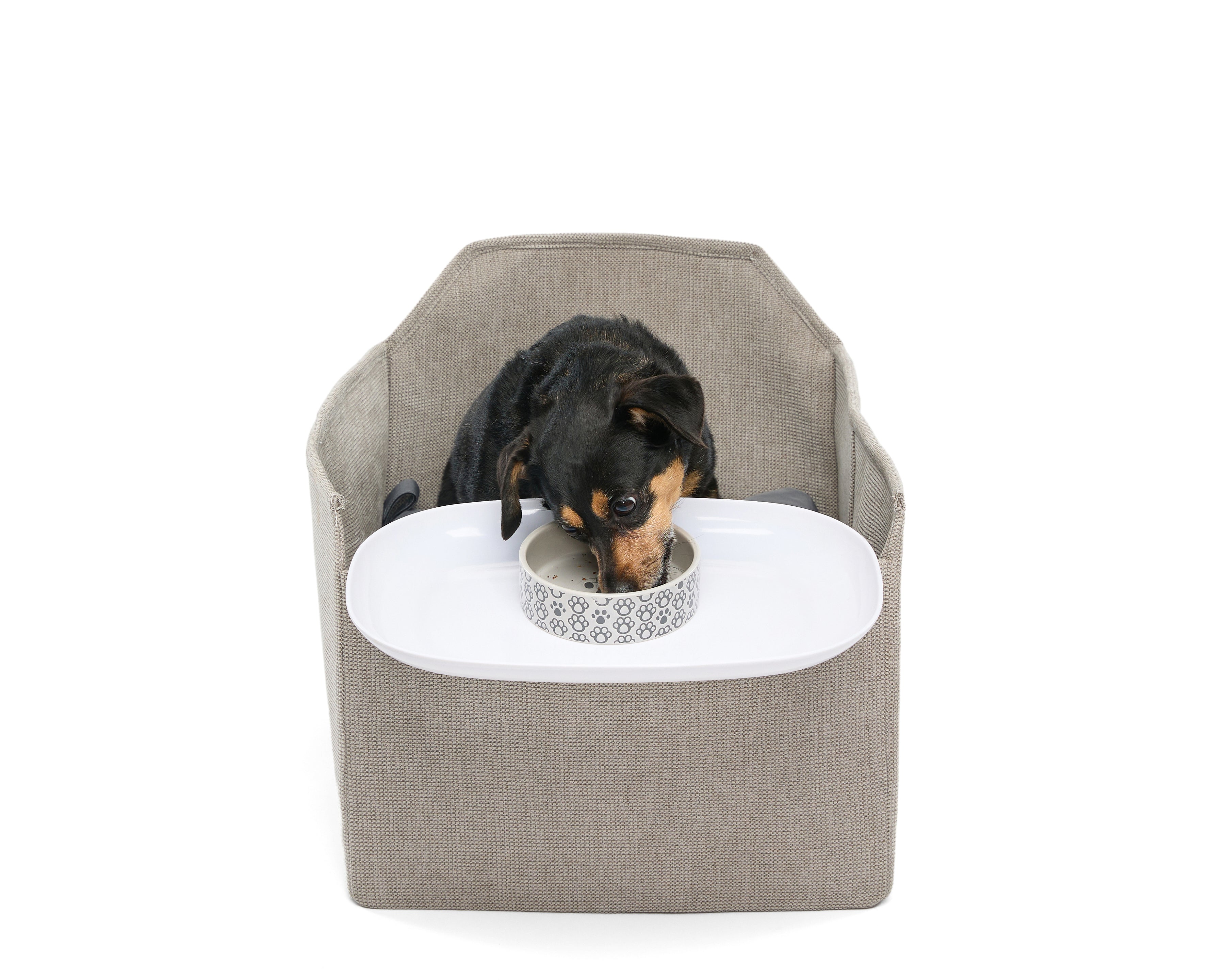 Pet High Chair