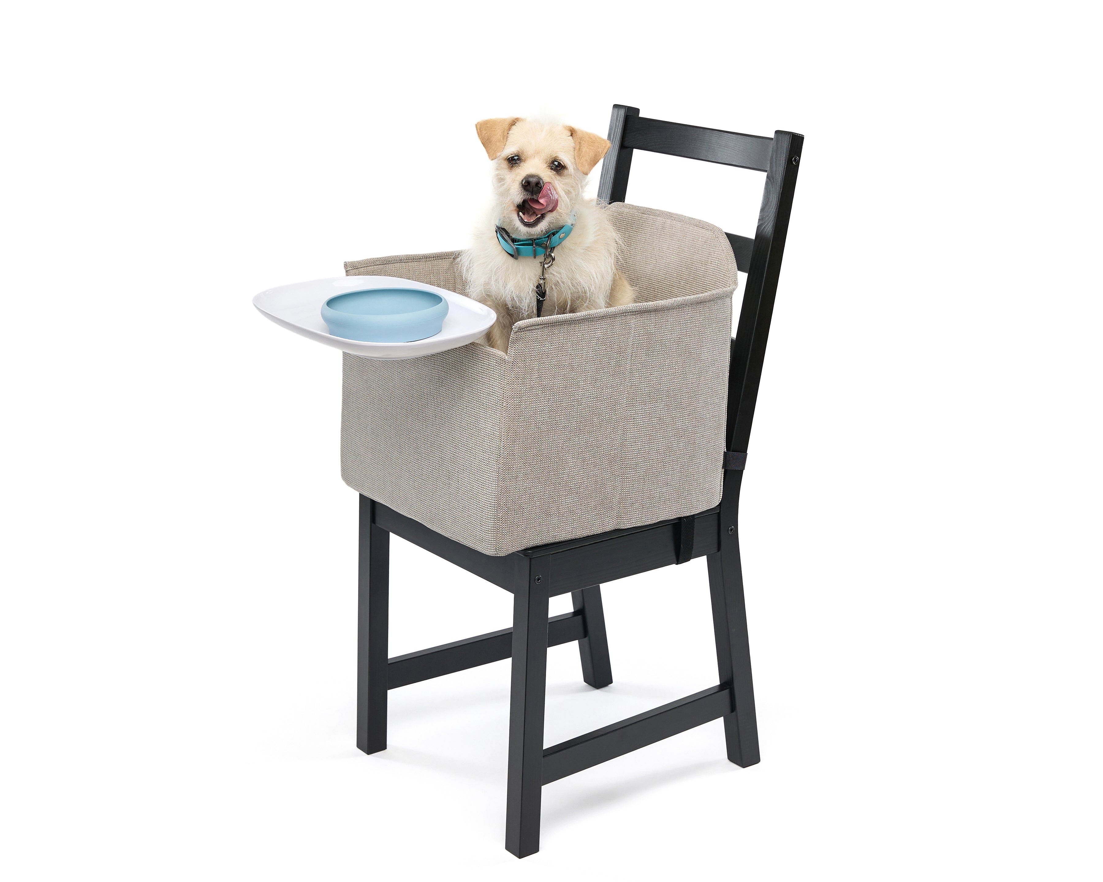 Pet High Chair