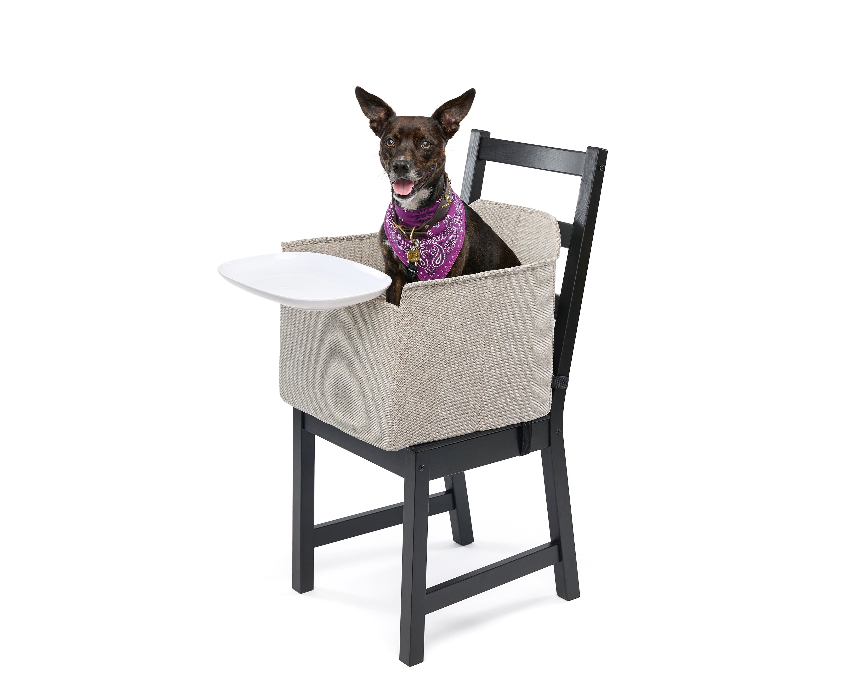 Pet High Chair