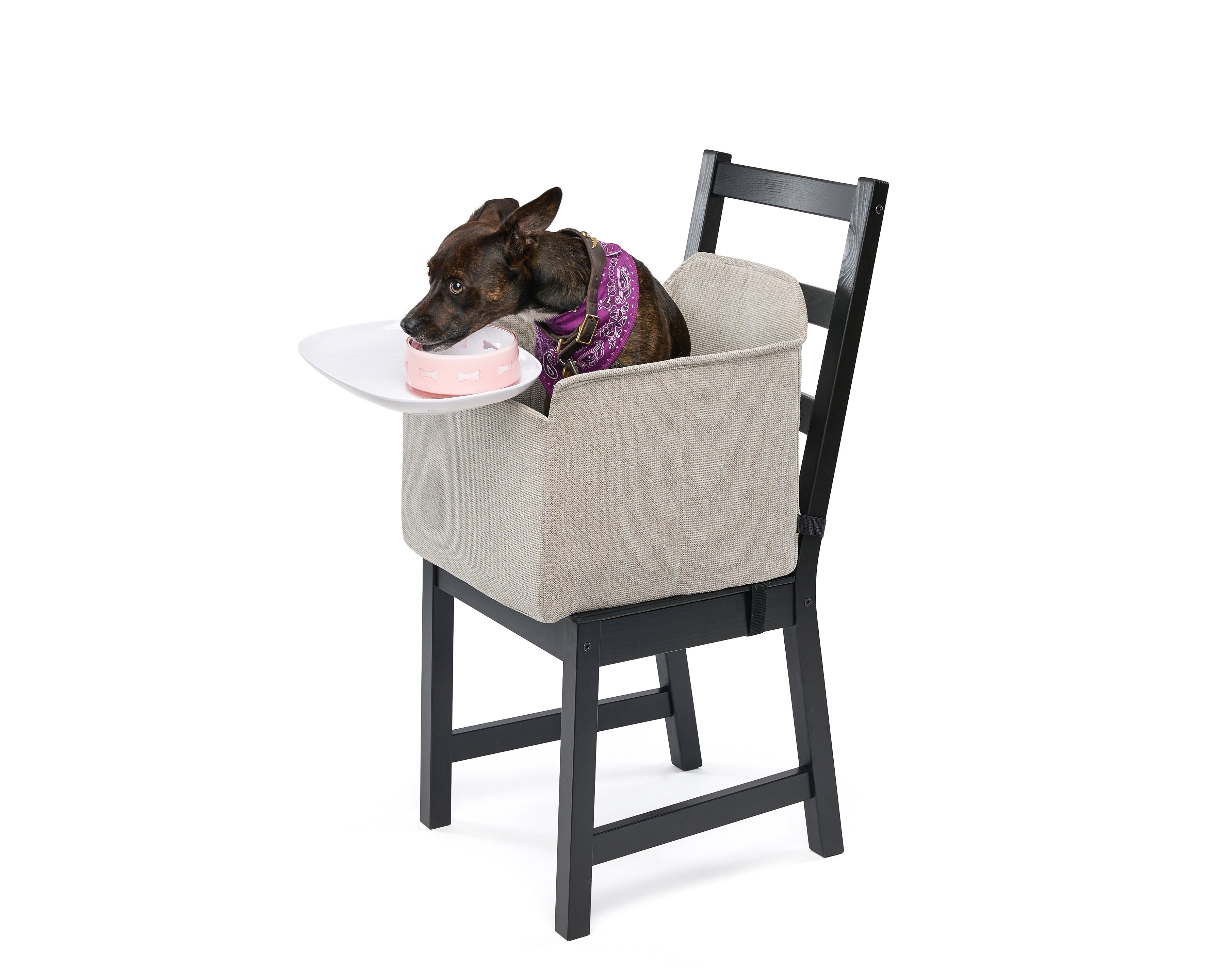 Dog high chair ikea best sale